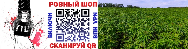 Купить наркоту Гаврилов Посад mega рабочий сайт  ГАШ  COCAIN 