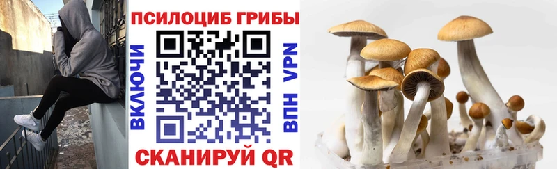 Псилоцибиновые грибы ЛСД  OMG tor  Гаврилов Посад 